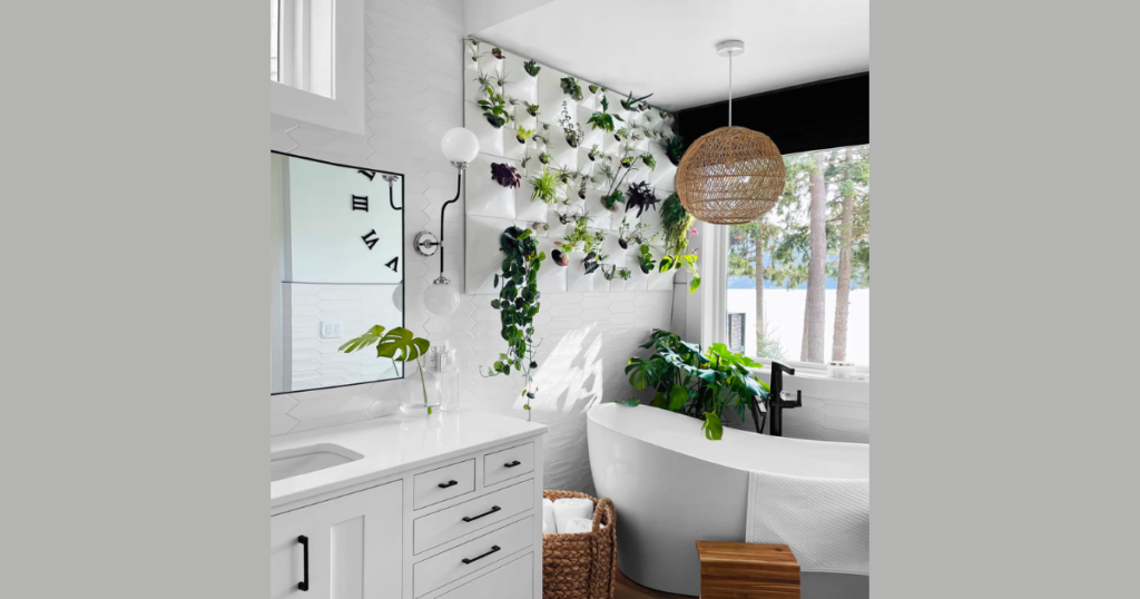 Air Plant Bathroom Idea