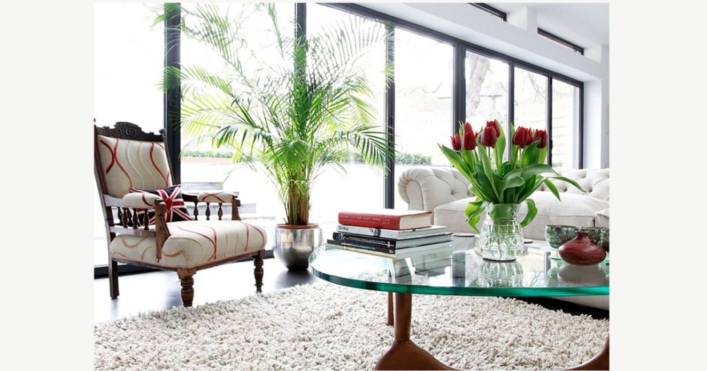 Decorate with Indoor Plants for Freshness