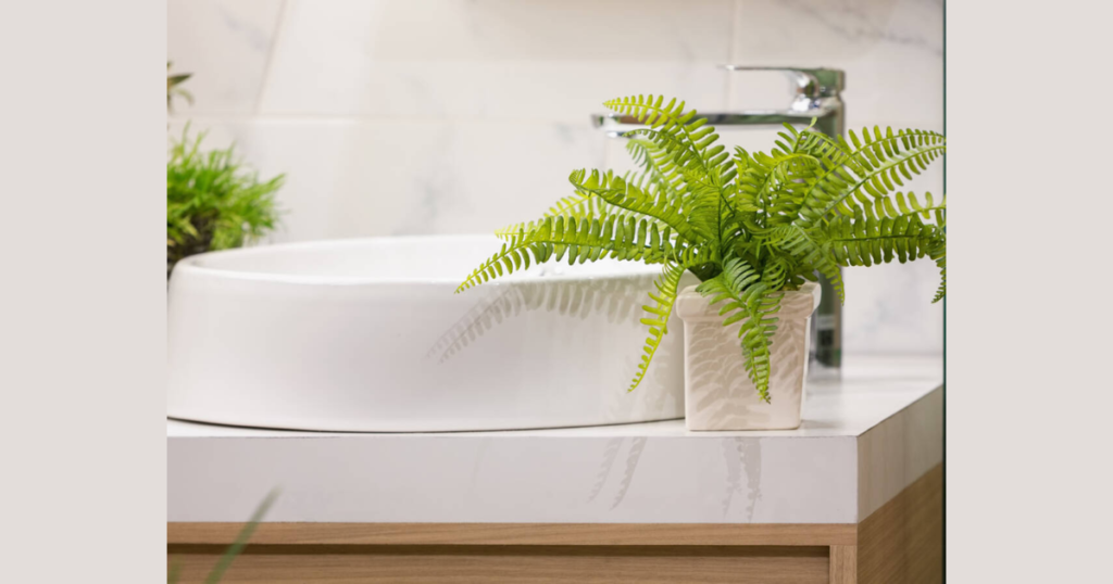 Fern Bathroom Plant Idea