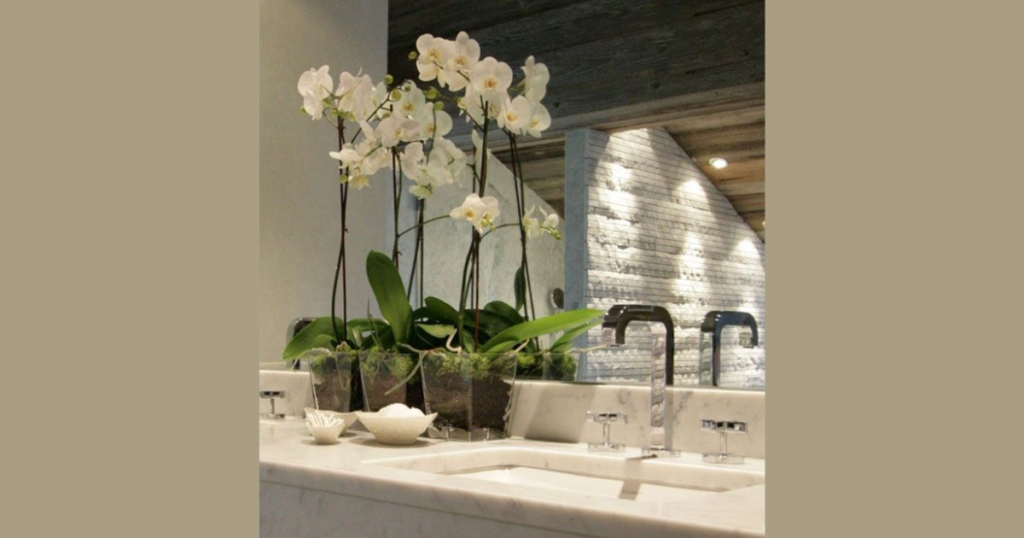 Orchid Bathroom Idea