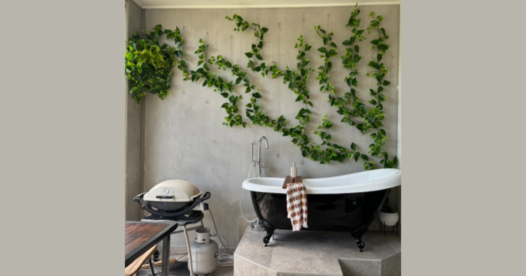 Pothos Hanging Plant Idea