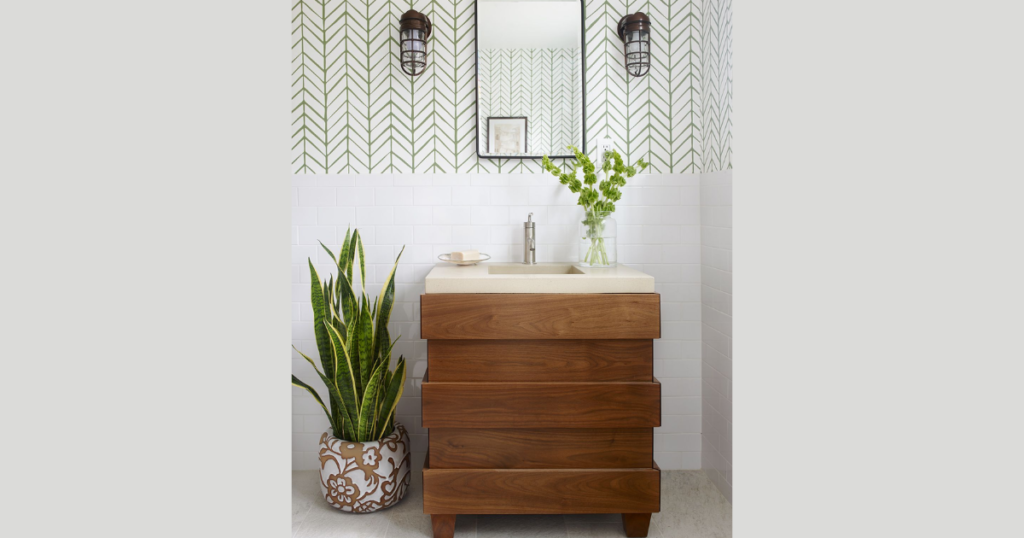 Snake Plant Bathroom Idea