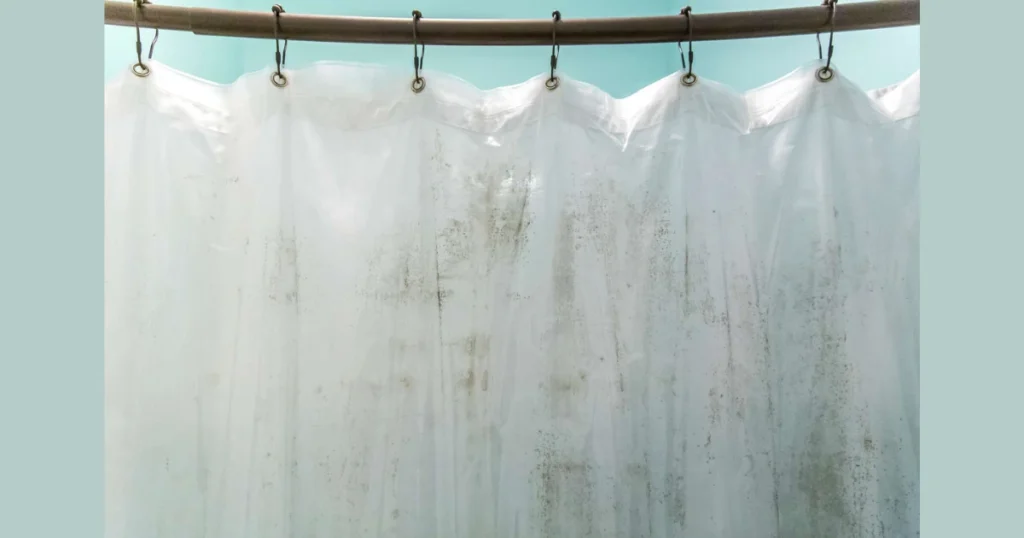 Update Shower Curtains and Accessories for Instant Change