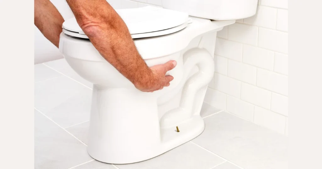 Replace Old Toilet Seat and Small Fixtures