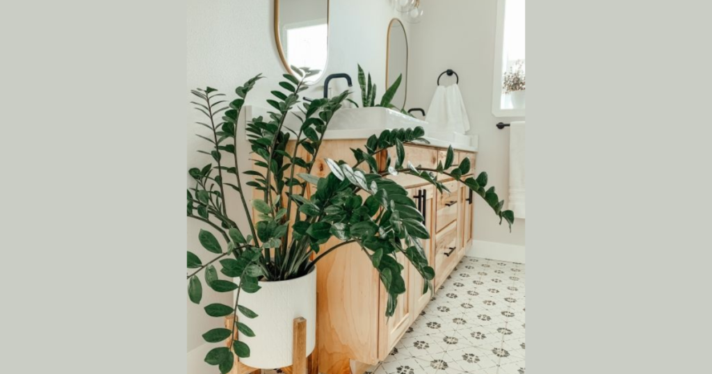 ZZ Plant Bathroom Idea