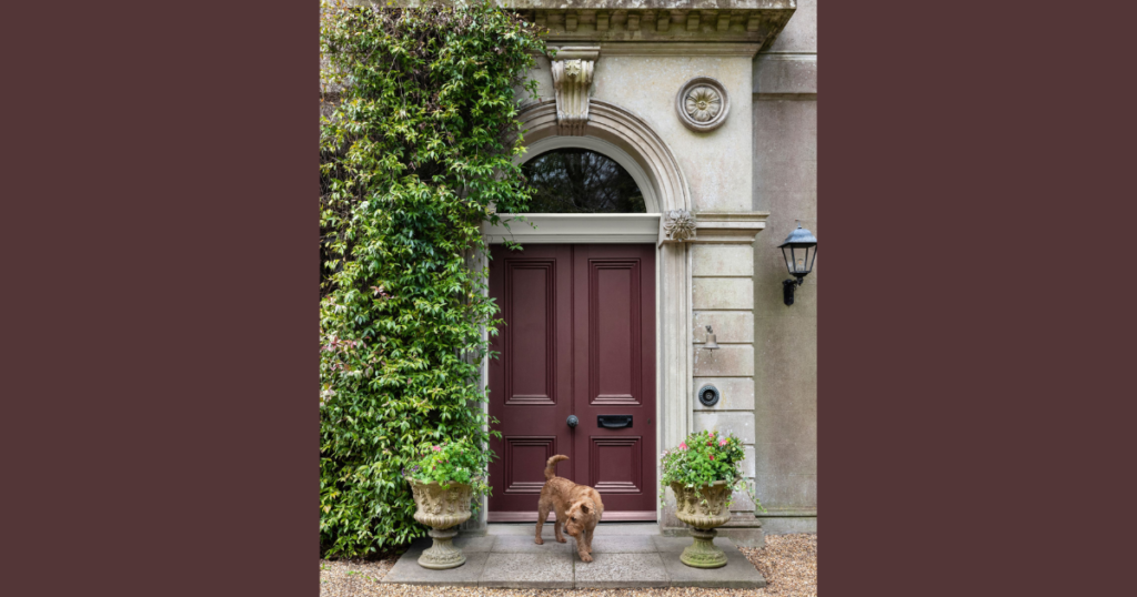 Bold Painted Front Door Color Idea