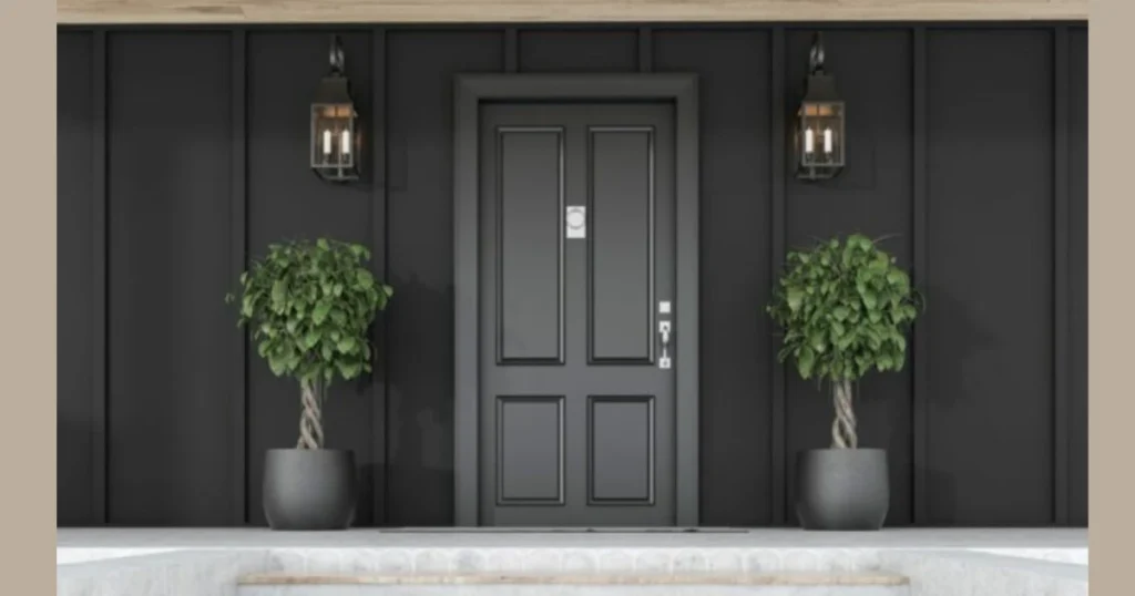 Minimalist Flush House Door