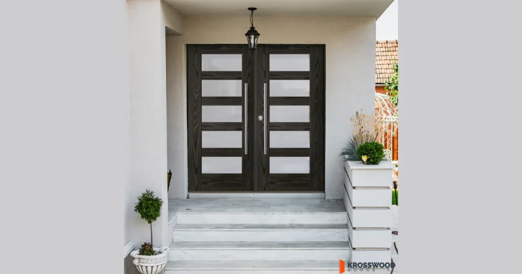 Modern Double Front Door
