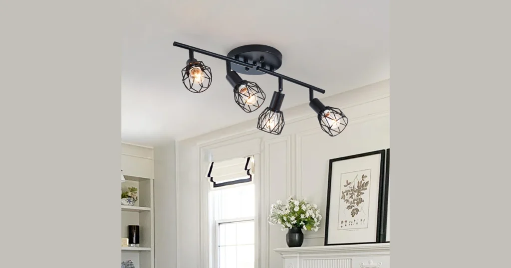 Multi Light Ceiling Fixture