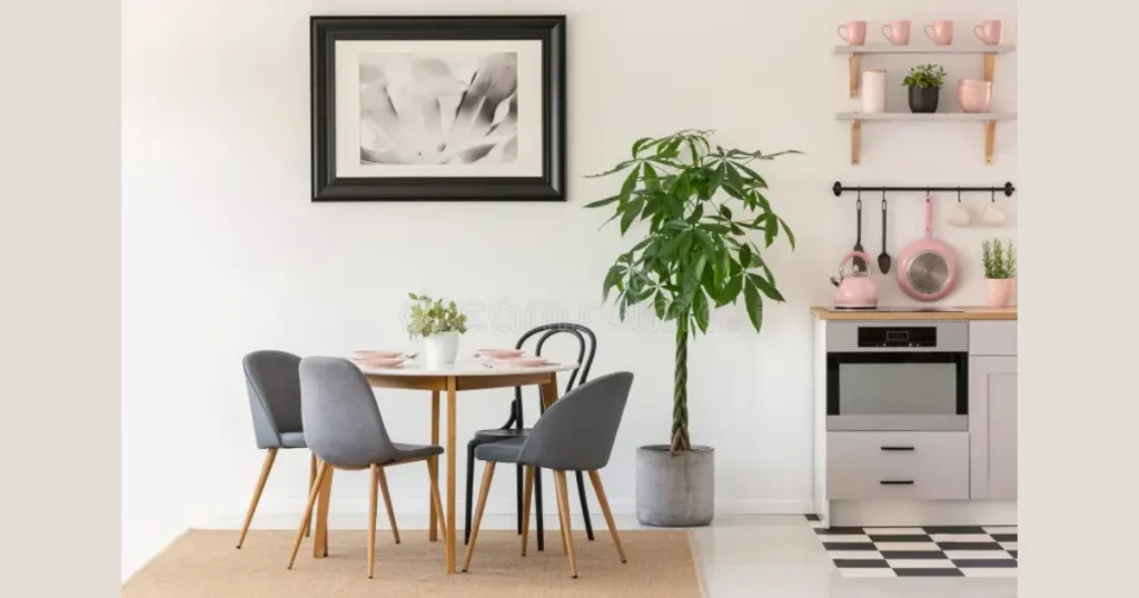  Small Indoor Plant Accessory