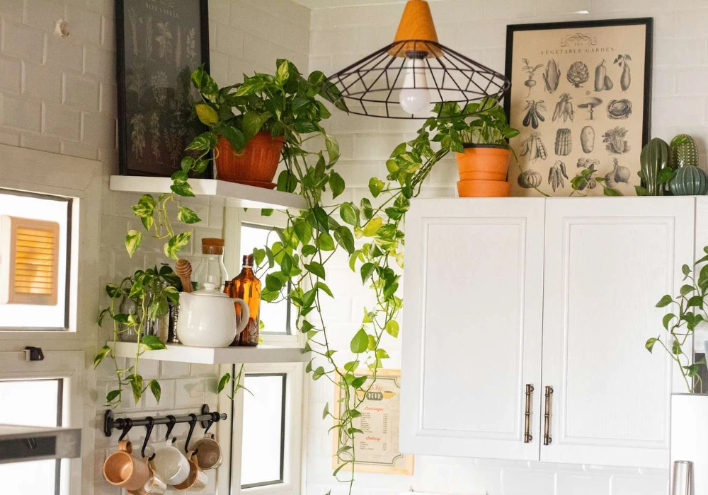 Indoor Plants Kitchen Decor Idea