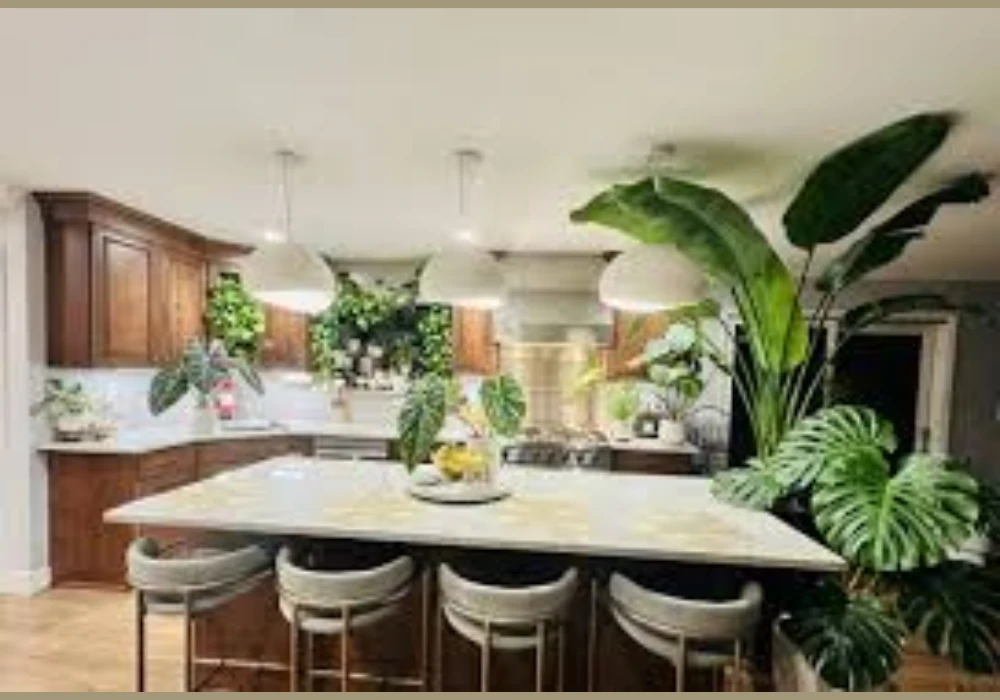 Green Plants for a Fresh and Lively Kitchen Table