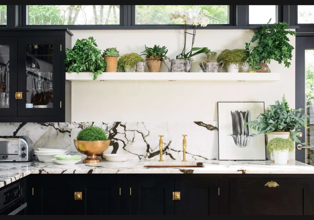 Marble and Quartz Mix Kitchen Counter Ideas for Balanced Design