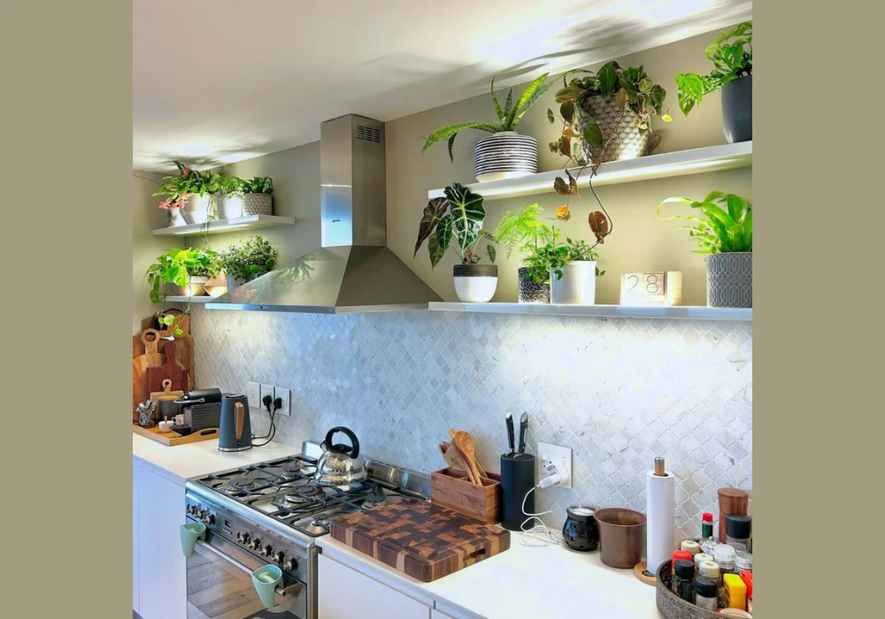 Add Fresh Plants or Herbs for a Natural Touch