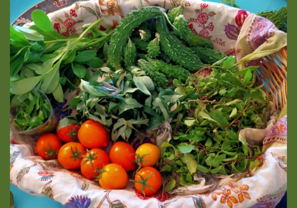 Herb Focused Kitchen Garden Ideas for Everyday Cooking Needs