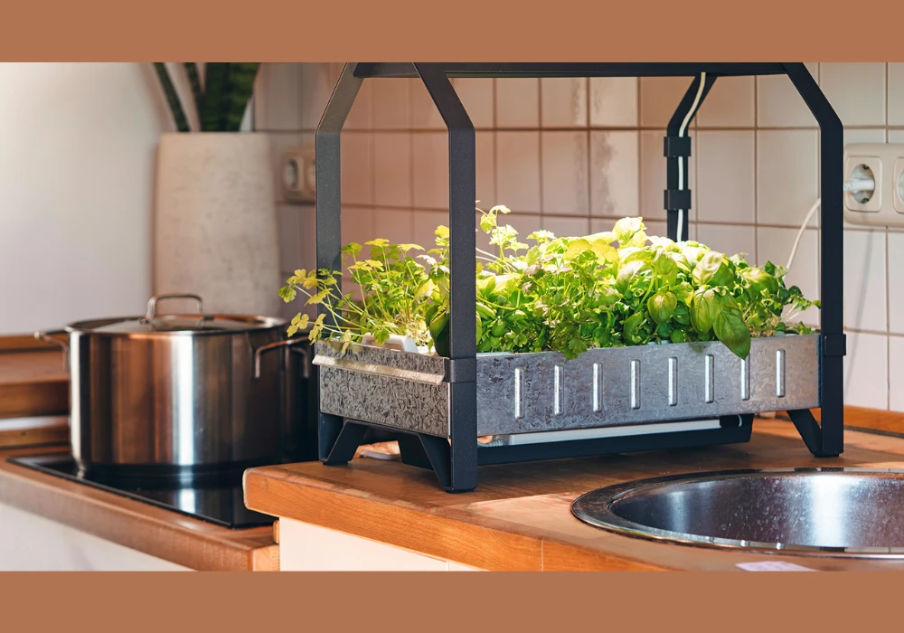 Kitchen Window Garden Ideas for Daily Fresh Herbs Access