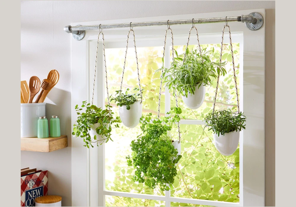 Indoor Kitchen Garden Ideas for Year Round Fresh Herbs