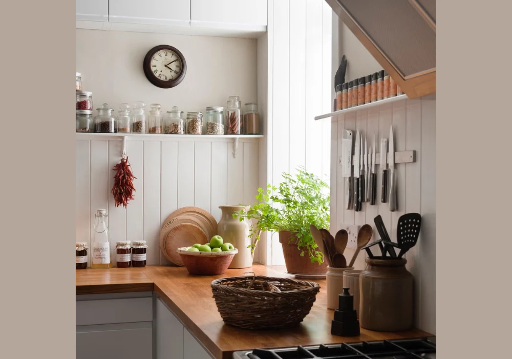 Small Indoor Plants for Fresh Apartment Kitchen Decor