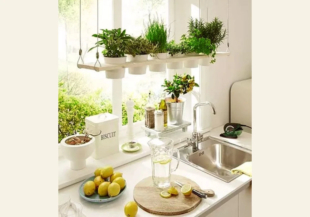 Kitchen Garden Window Ideas for Fresh Herbs and Plants