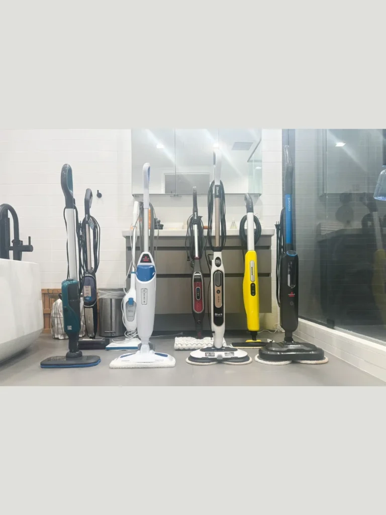 Portable High Pressure Steam Cleaner