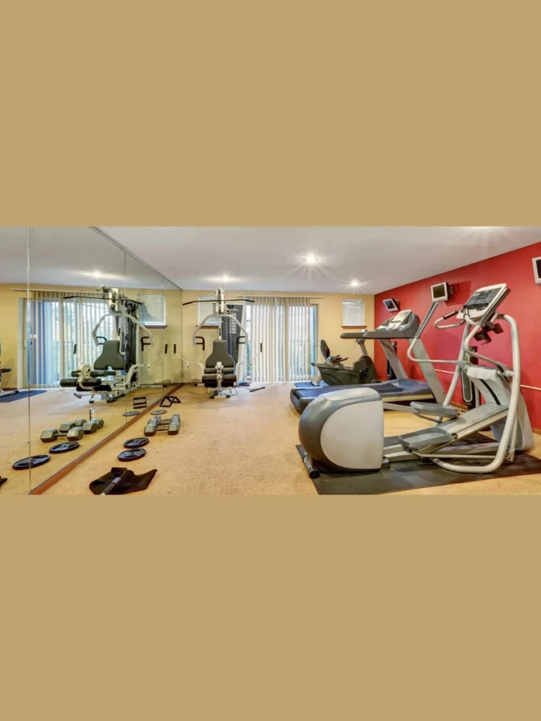 Reflective mirror walls for a professional garage gym