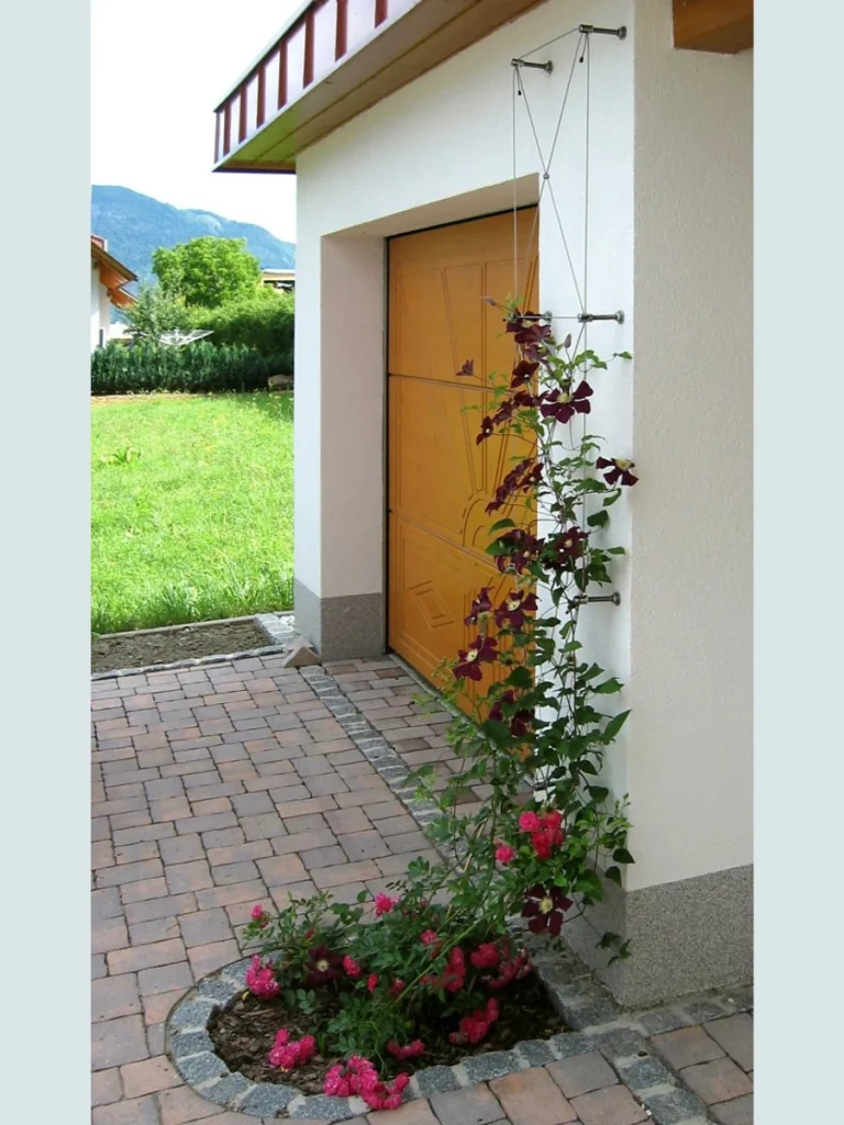 Install a trellis for climbing plants