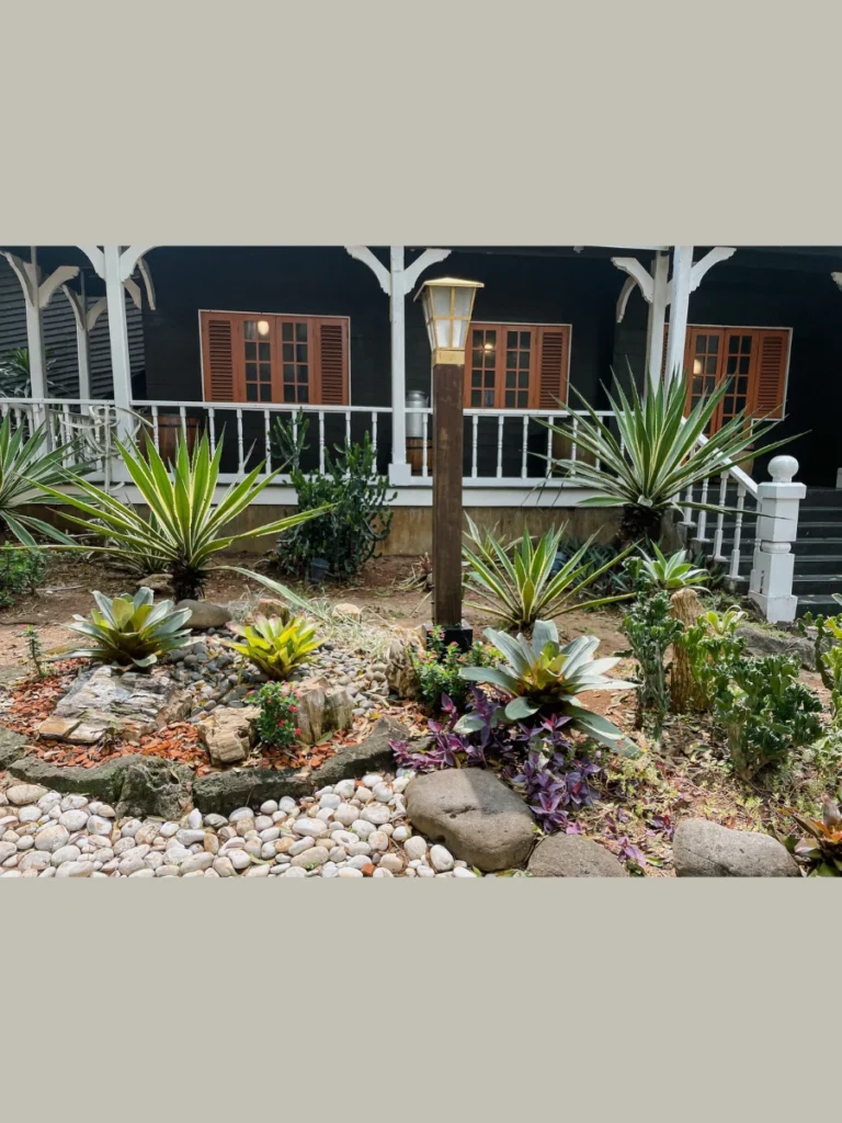 The Low Maintenance Succulent Rockery