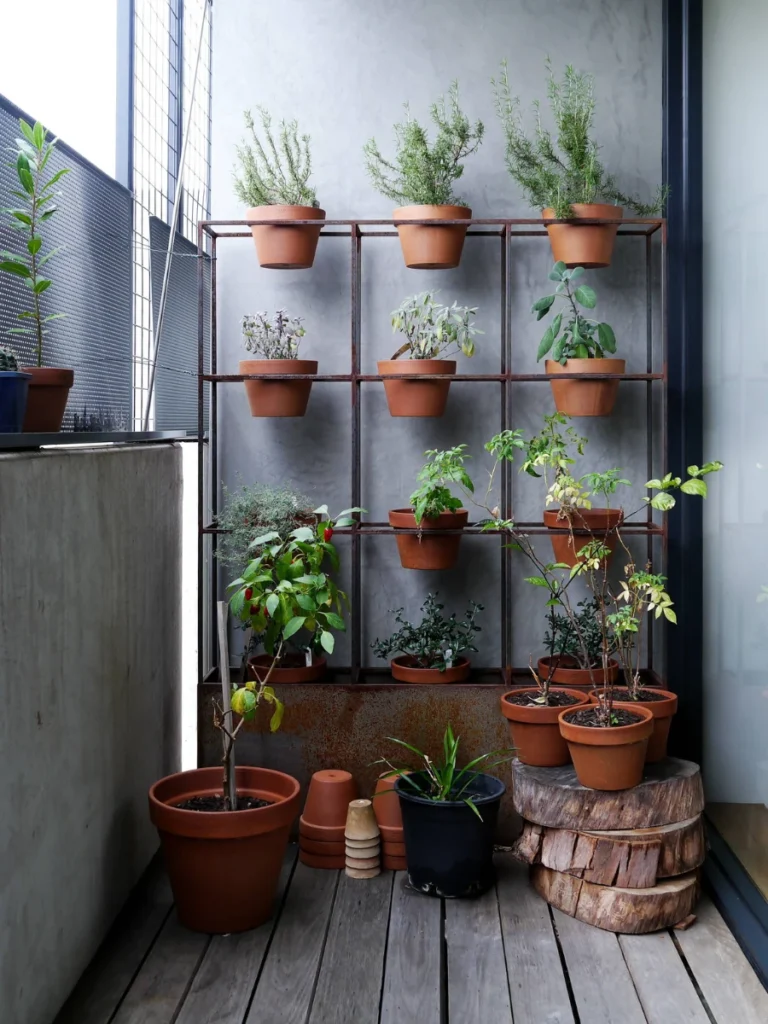 The Edible Herb Kitchen Garden