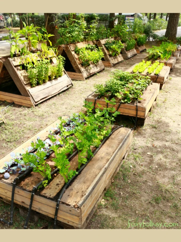 The Vertical Wooden Pallet Garden