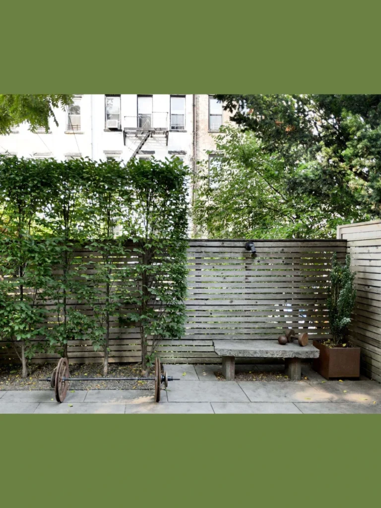Privacy screens with tall plants
