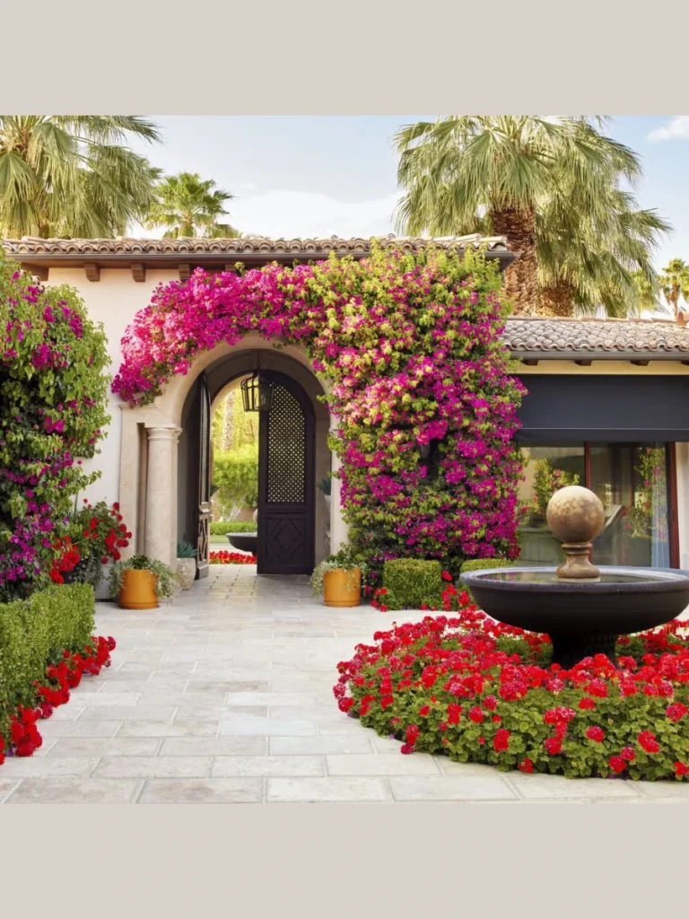 Best Trailing Ivy for Shade