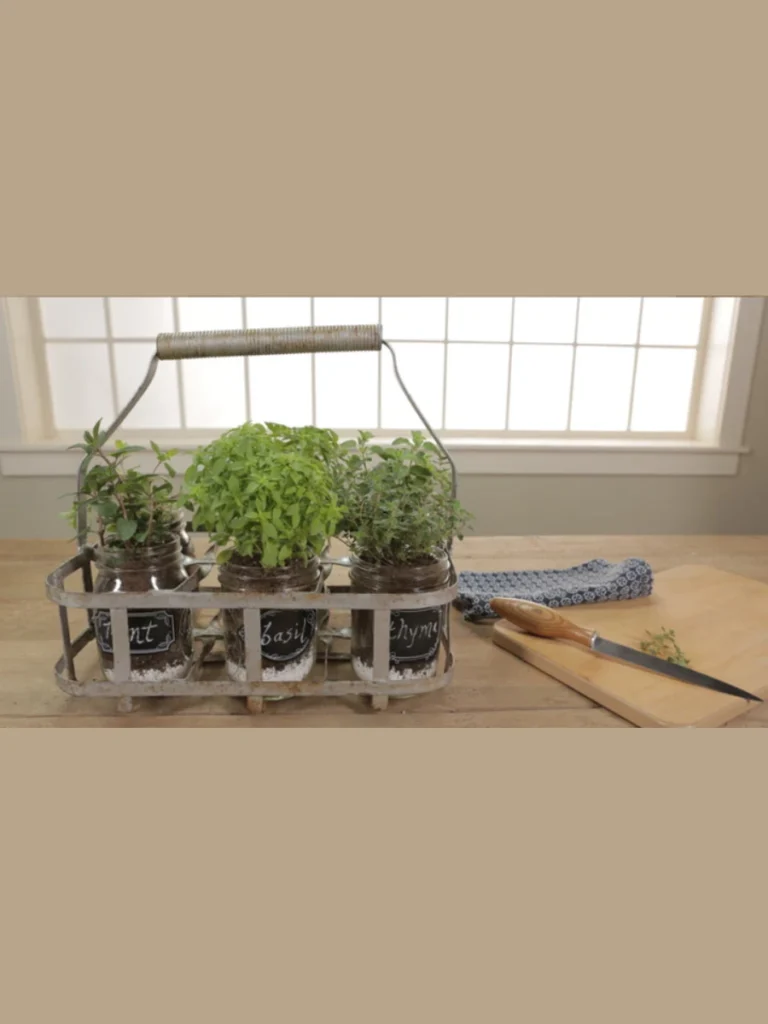  Vertical Wall Herb Gardens