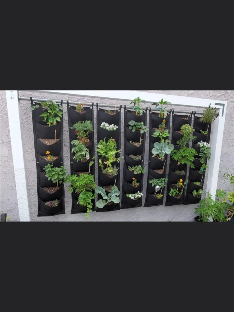 Creative Hanging Shoe Organizer Gardens