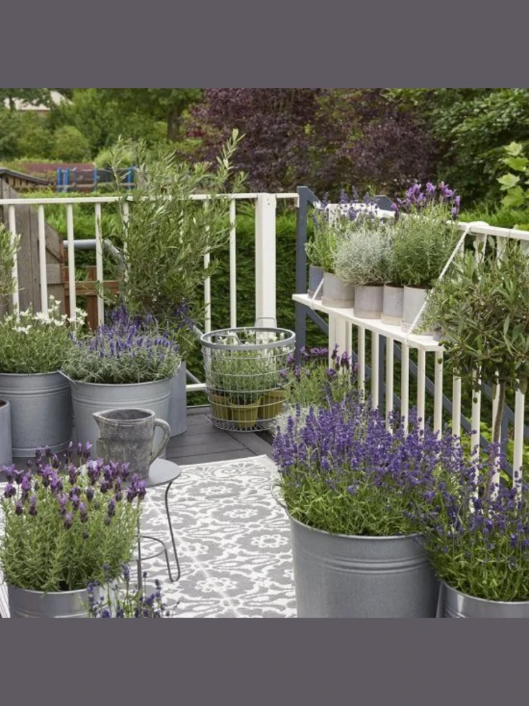 Easy Fragrant Lavender Pots
