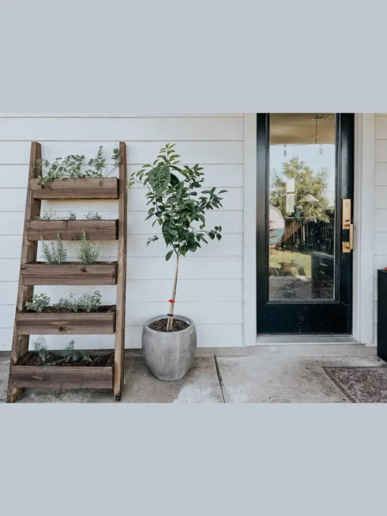 Professional Vertical Herb Garden Setup