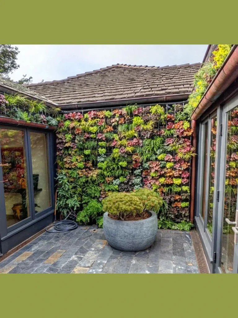 Best Vertical Garden Walls