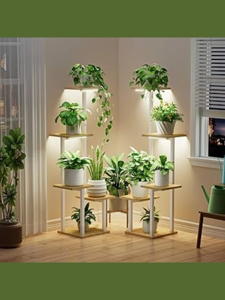  Introduce a Multi Tiered Plant Stand