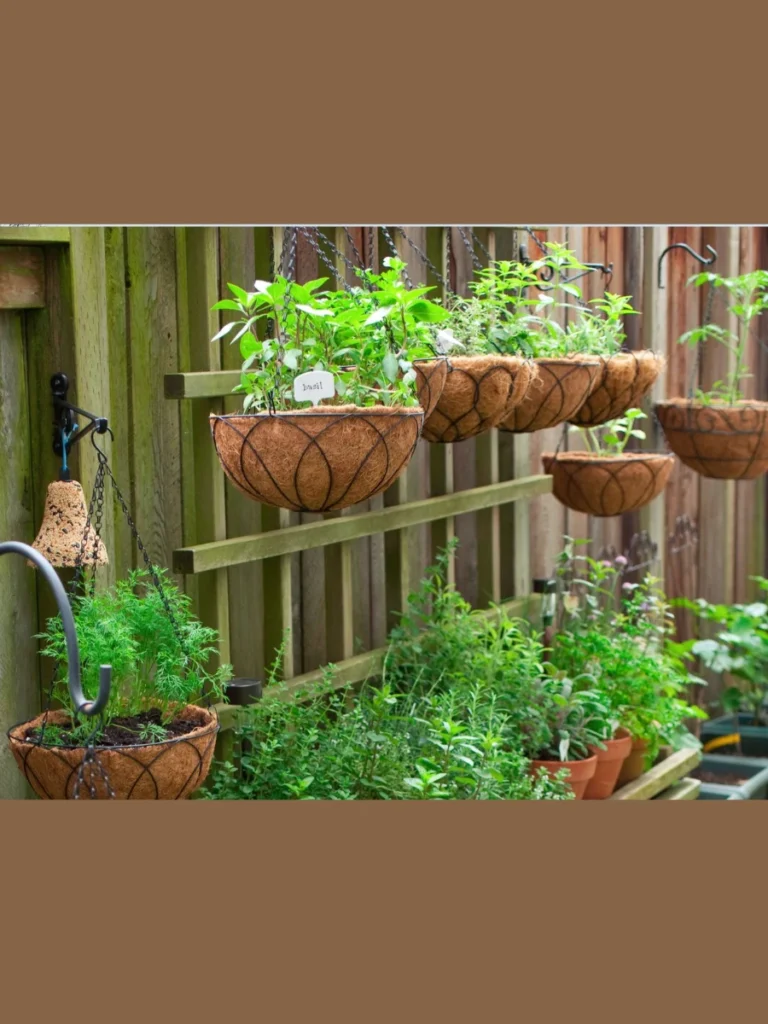 Hanging Basket Veggie Globes