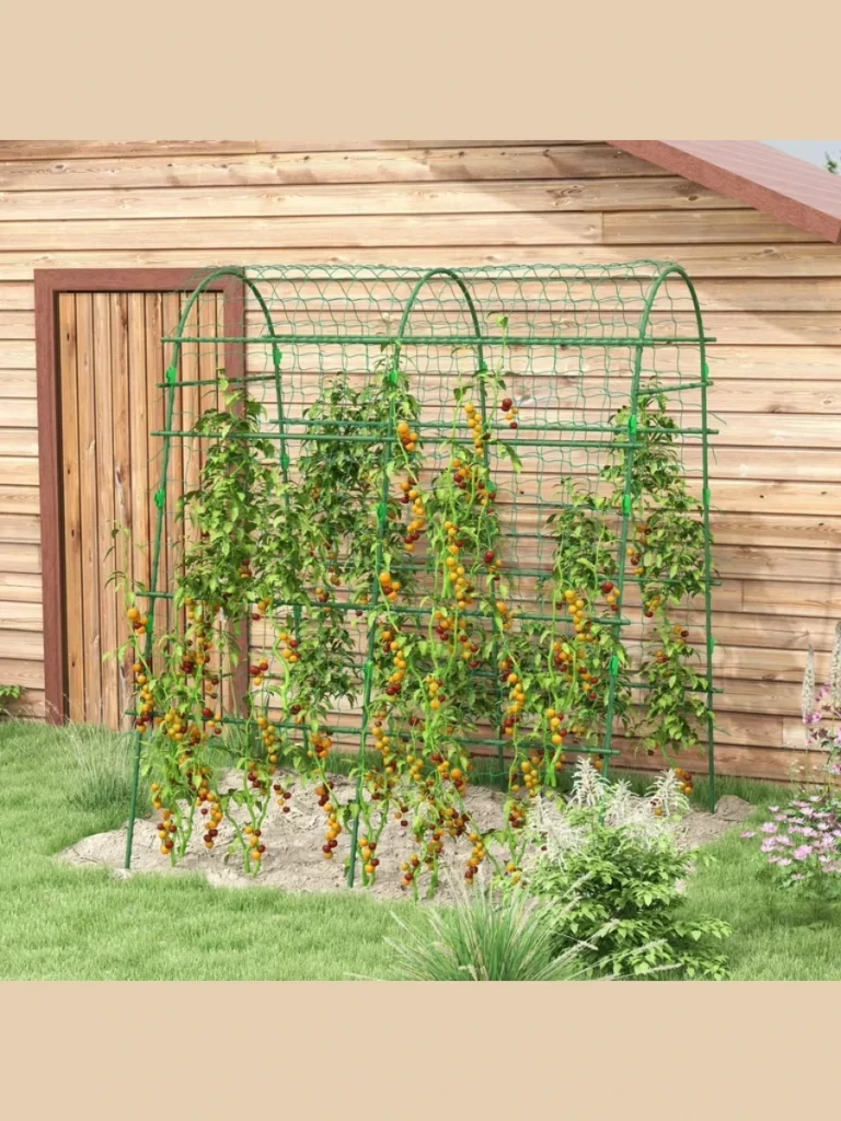 Trellis Supported Climbing Systems