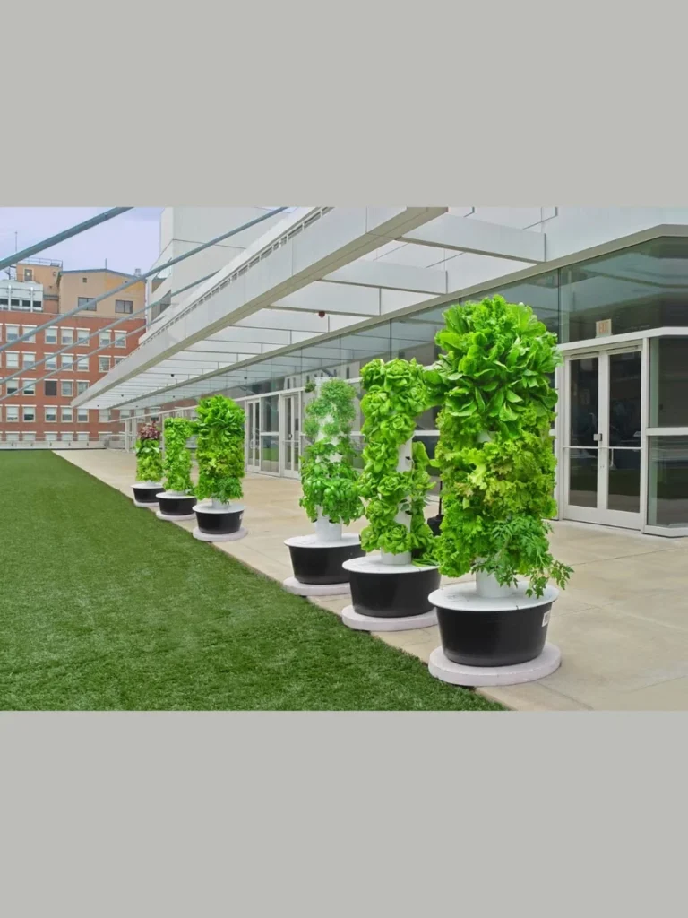 Hydroponic Tower Gardens