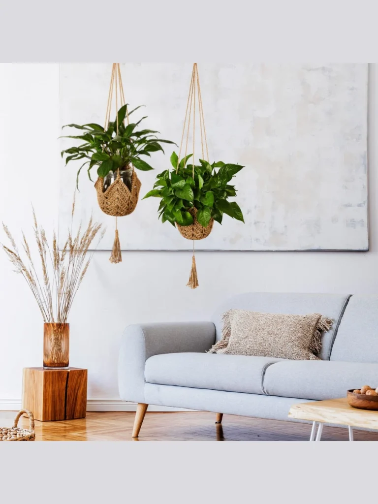 Hanging Macrame Plant Hangers