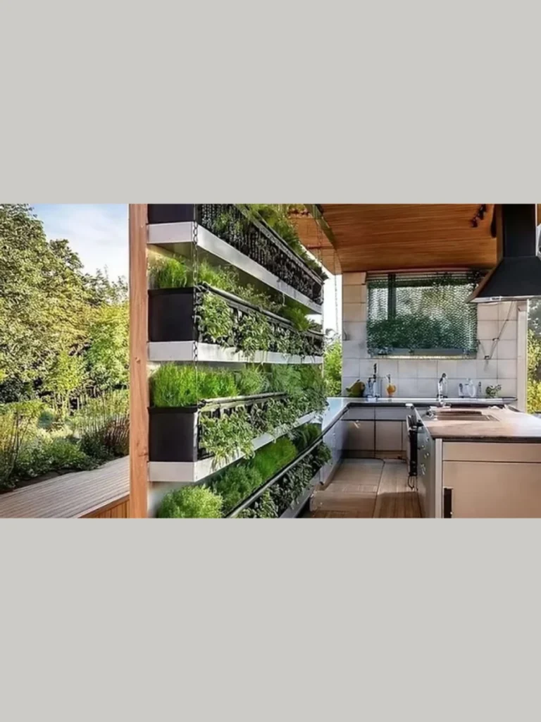Practical Herbs For A Useful Kitchen Balcony