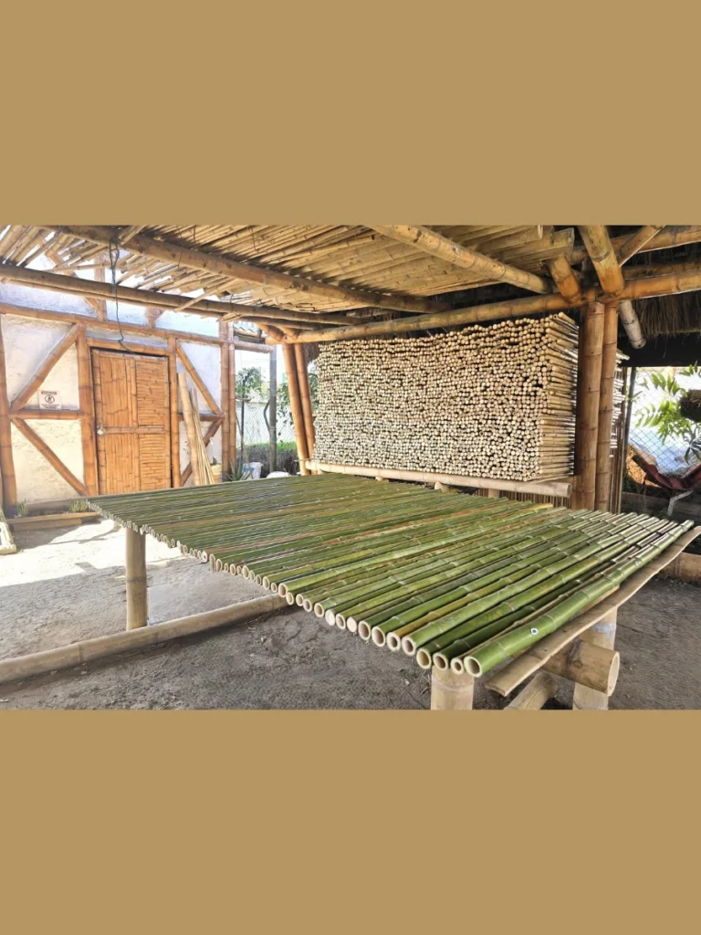 Hardy Bamboo For Natural Privacy Screening