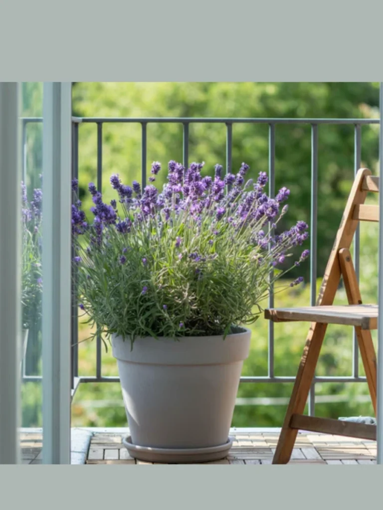  Fragrant Lavender For A Relaxing Sensory Experience
