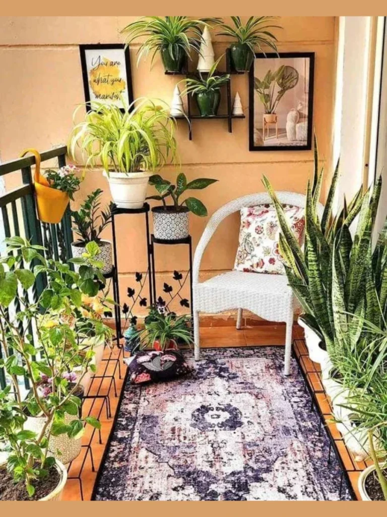  Low Maintenance Snake Plants For Shady Balconies