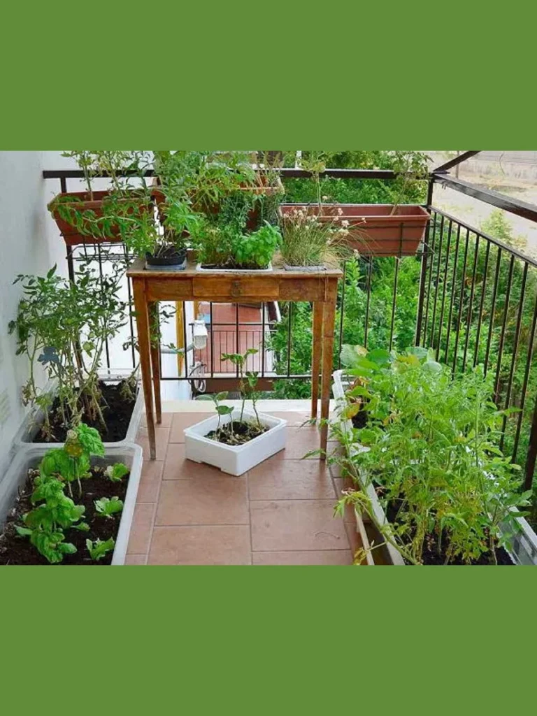 Quality Pipe and Hook Garden