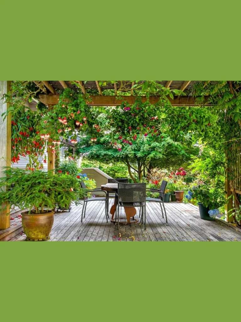 Fuchsia Varieties for Elegant Shade