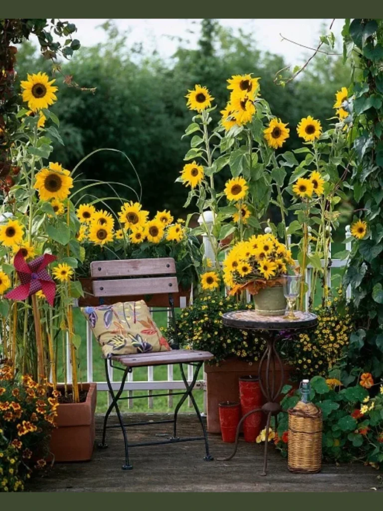  Dwarf Sunflowers for a Bright Summer Vibe