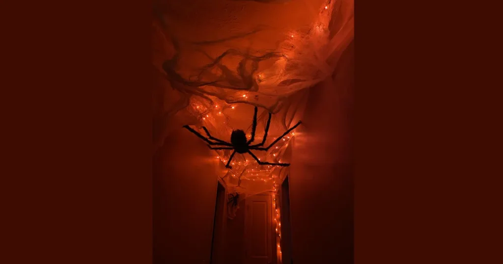 Top Spider Web Hallway Yarn Maze