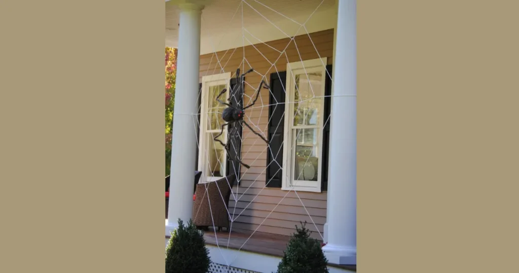 Chic Giant Yarn Spiderweb Backdrop